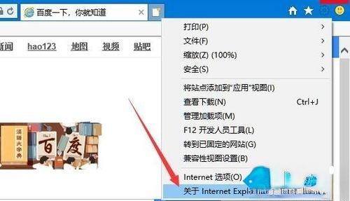 IE浏览器的版本号是多少?Win10系统查看ie浏览器版本号的方法(2)
