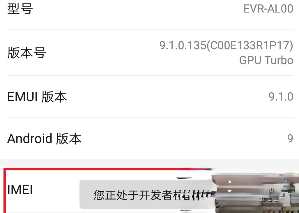 华为手机如何开启开发者选项?华为手机开启开发者选项的方式(5)