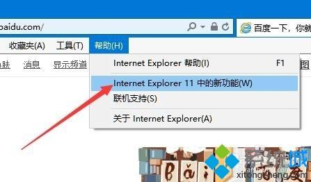 IE浏览器的版本号是多少?Win10系统查看ie浏览器版本号的方法(5)