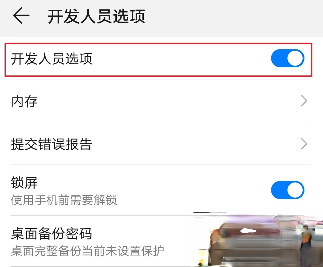 华为手机如何开启开发者选项?华为手机开启开发者选项的方式(7)