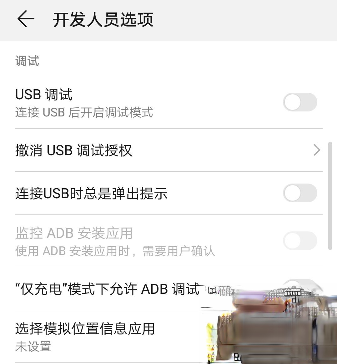 华为手机如何开启开发者选项?华为手机开启开发者选项的方式(8)