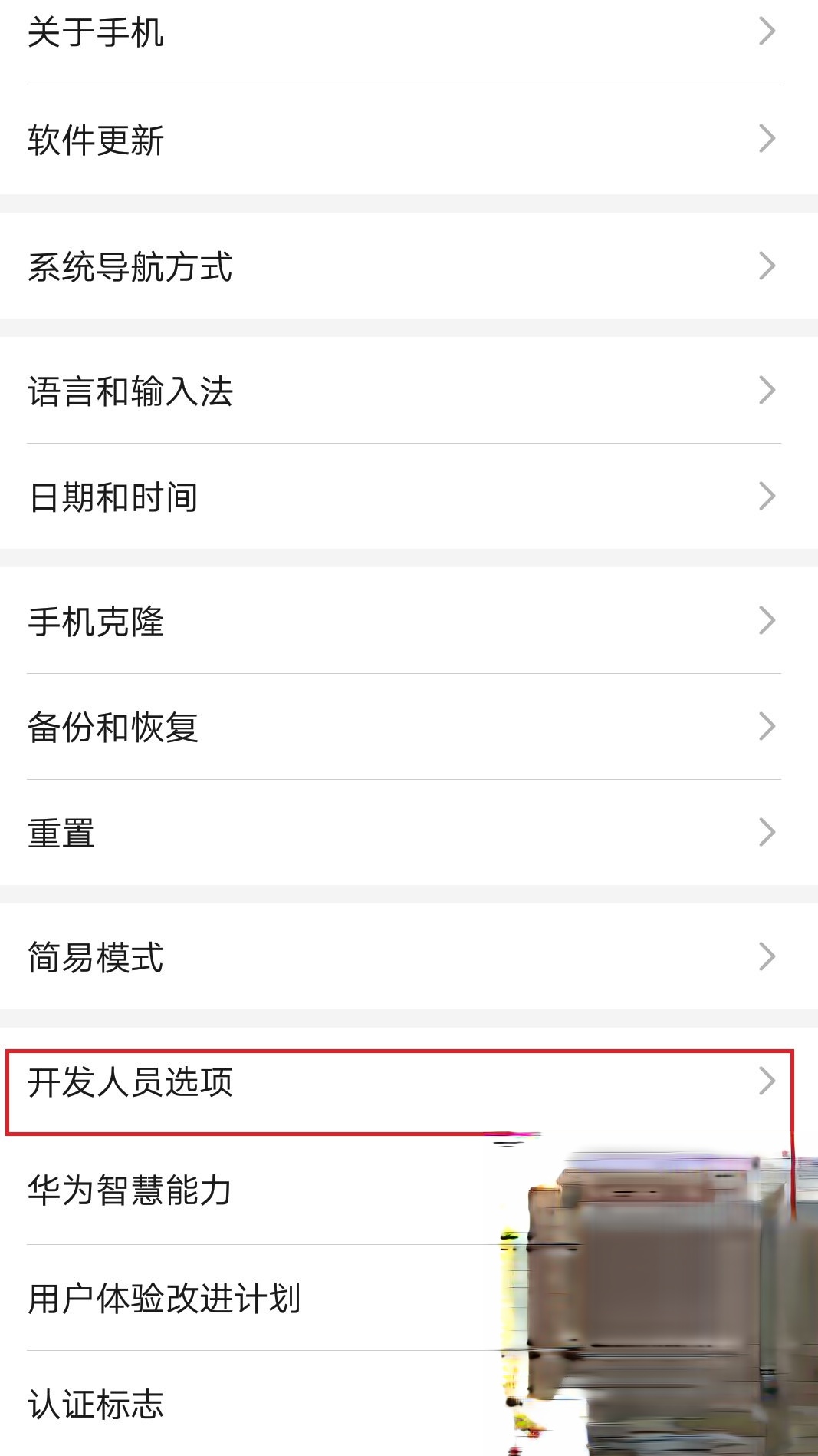 华为手机如何开启开发者选项?华为手机开启开发者选项的方式(6)