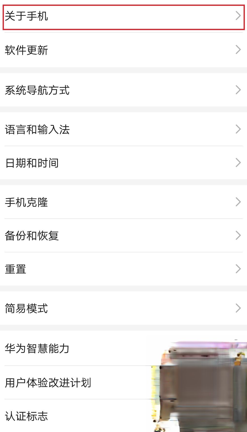 华为手机如何开启开发者选项?华为手机开启开发者选项的方式(2)