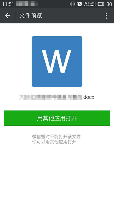 word文档用其他应用打开