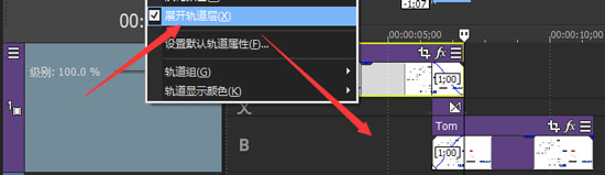 轨道扩展 Vegas 15轨道扩展