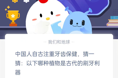 中国人自古注重牙齿保健,猜一猜以下哪种植物是古代的刷牙利器