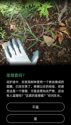 是猎套吗蚂蚁森林