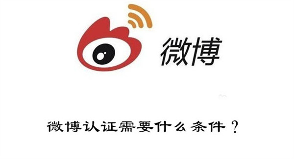 微博认证需要什么条件?