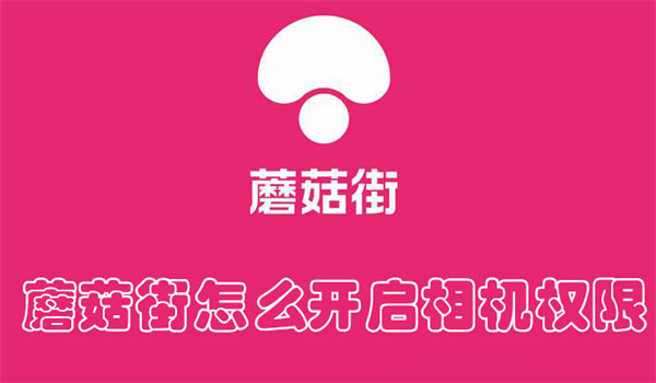 蘑菇街怎么开启相机权限